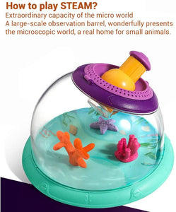  Fish Insect Observation Box Science Toy